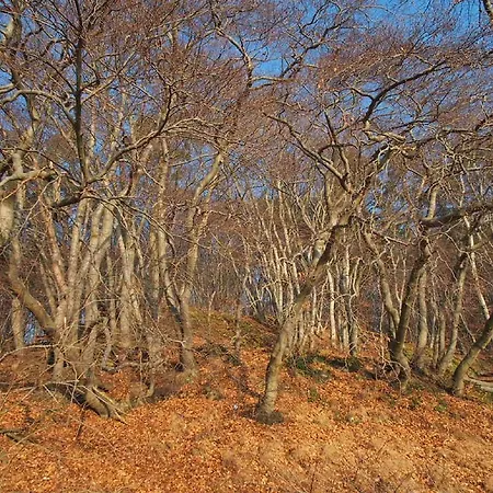 Lägenhet Orlowo Gdynia