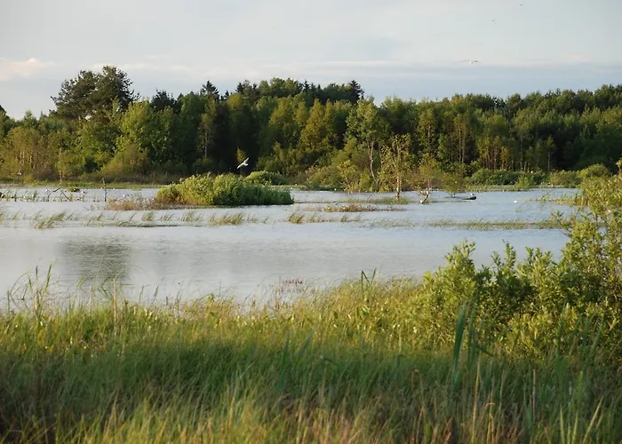 Orlowo Apartmán Gdyně
